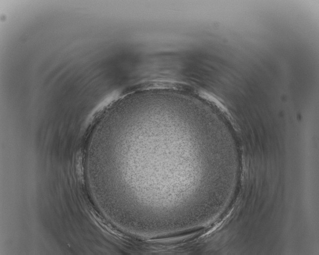 X0000063501403200601271733