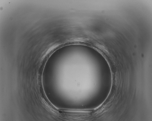 X0000063501404200601271733