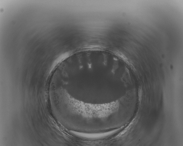 X0000063501405200601271733