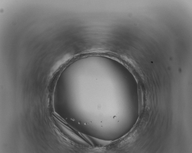 X0000063501406200601271733