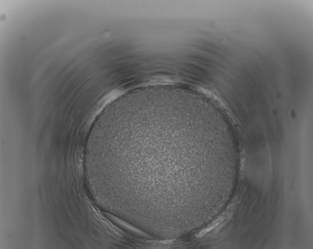 X0000063501409200601271733