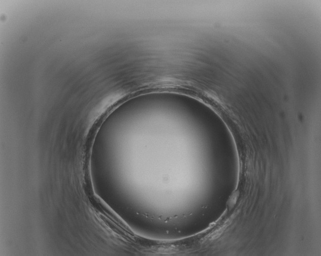 X0000063501410200601271733