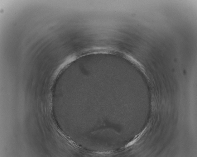 X0000063501411200601271733