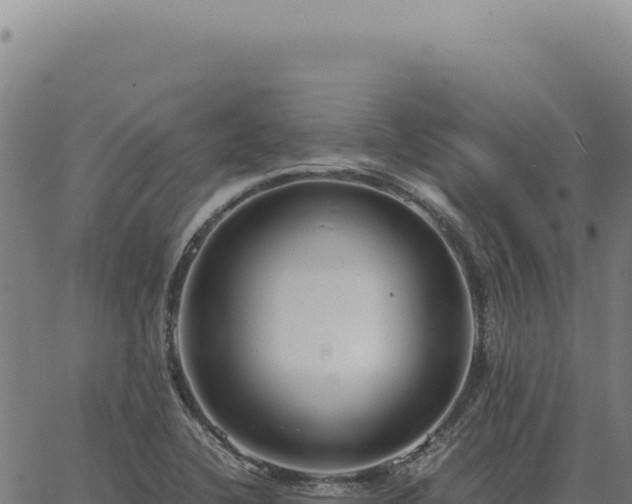 X0000063501412200601271733