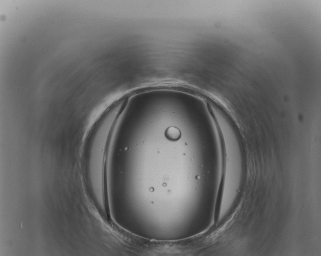 X0000063501414200601271733