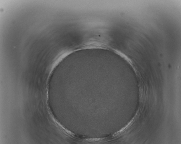 X0000063501415200601271733