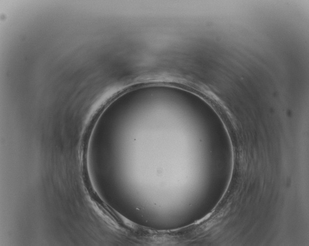 X0000063501416200601271733