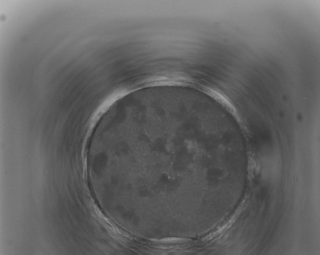 X0000063501419200601271734