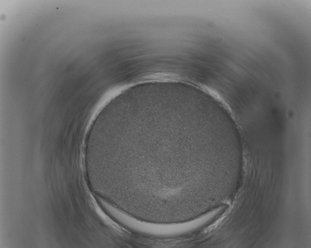 X0000063501421200601271734