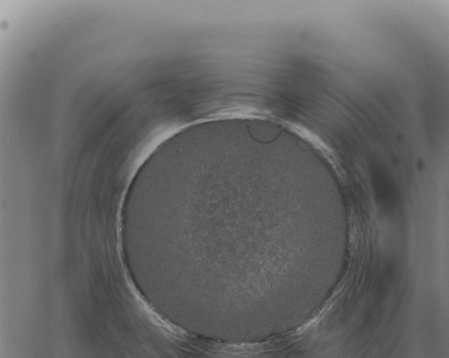 X0000063501423200601271734