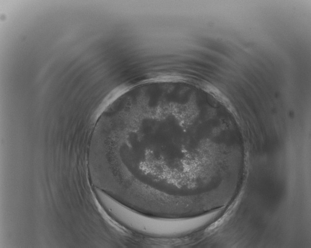 X0000063501425200601271734