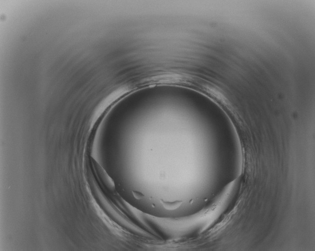 X0000063501426200601271734