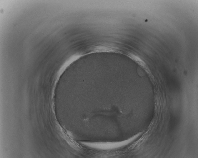 X0000063501427200601271734