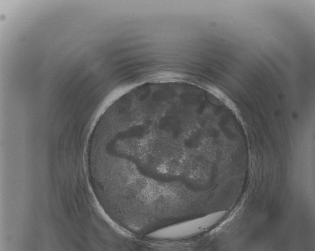 X0000063501429200601271734