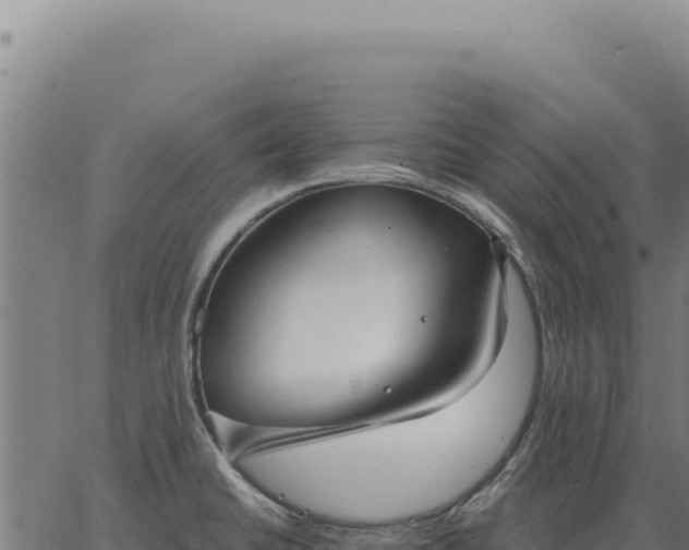 X0000063501430200601271734