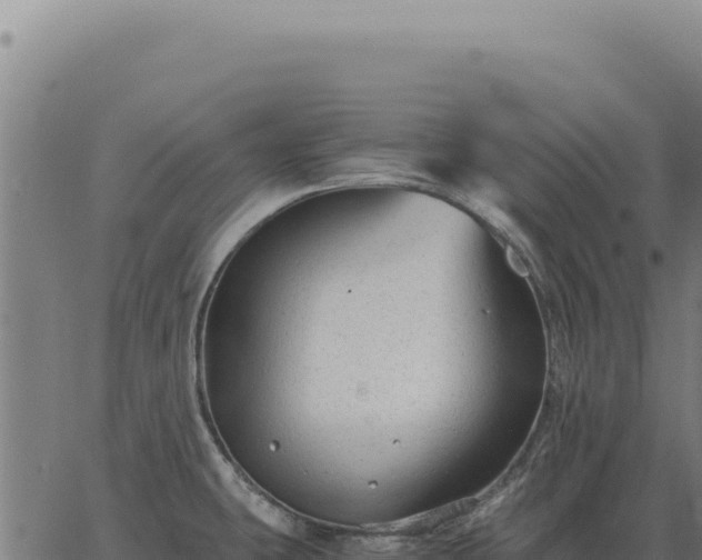 X0000063501431200601271734