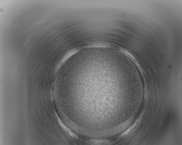 X0000063501433200601271734