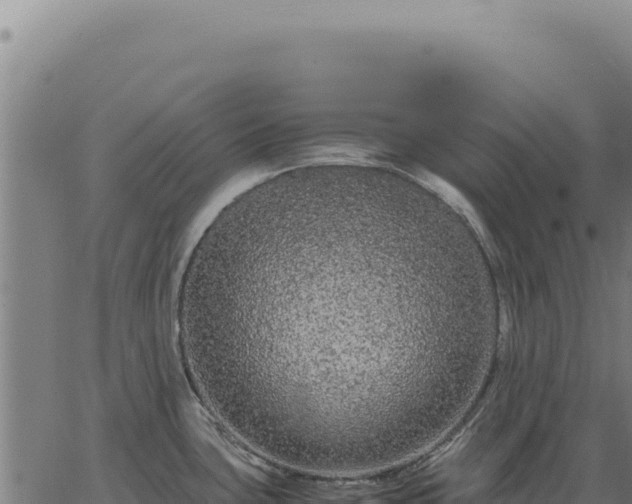 X0000063501435200601271734