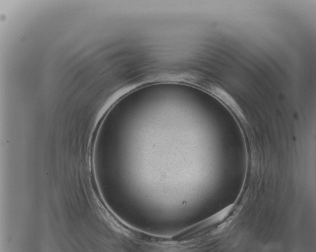 X0000063501436200601271734