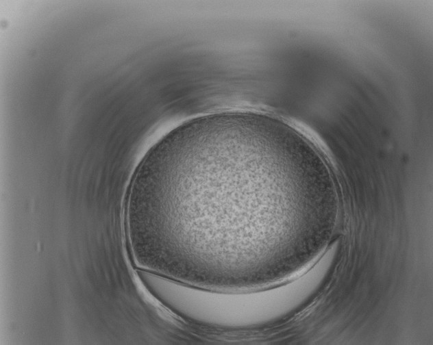 X0000063501439200601271734