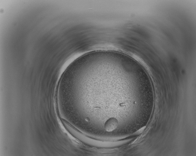 X0000063501440200601271734