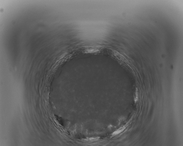 X0000063501441200601271733