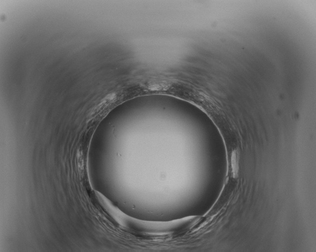 X0000063501443200601271733