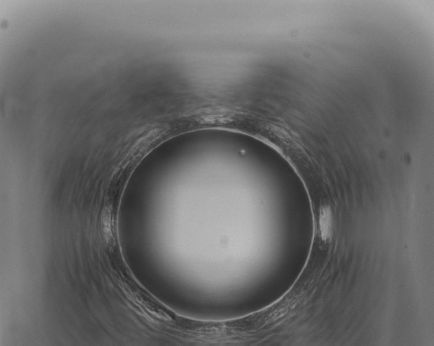 X0000063501444200601271733