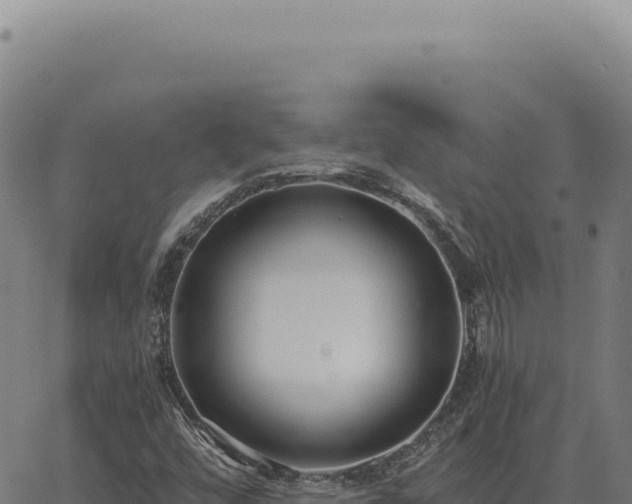 X0000063501448200601271733