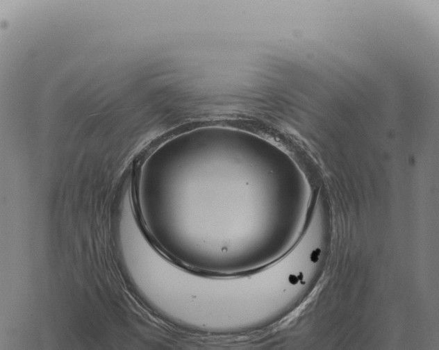 X0000063501449200601271733