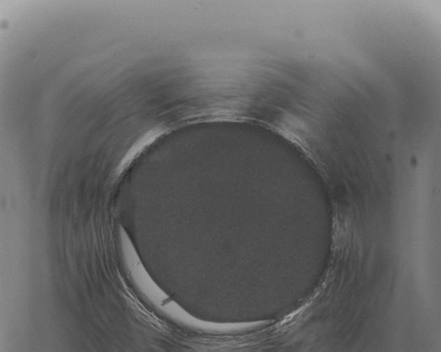 X0000063501450200601271733