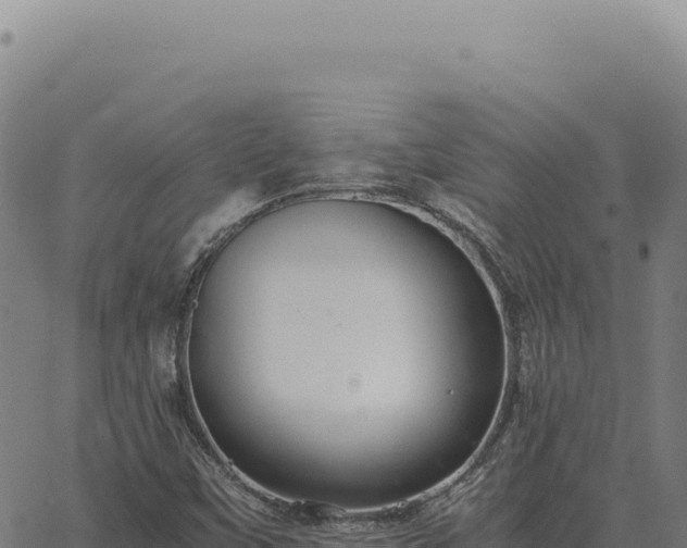 X0000063501451200601271733