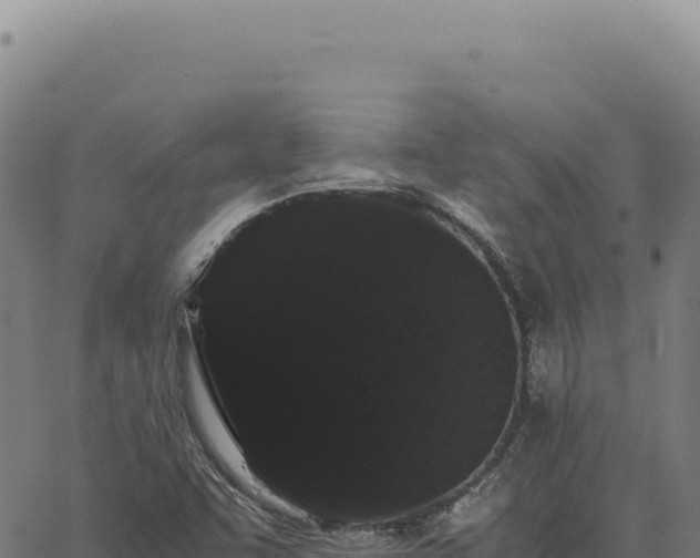 X0000063501455200601271733