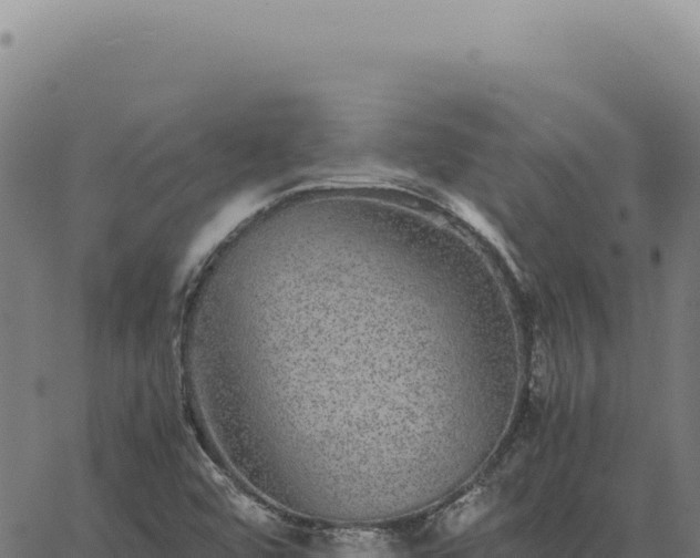 X0000063501456200601271733