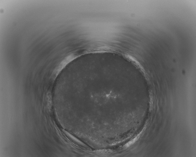 X0000063501457200601271733