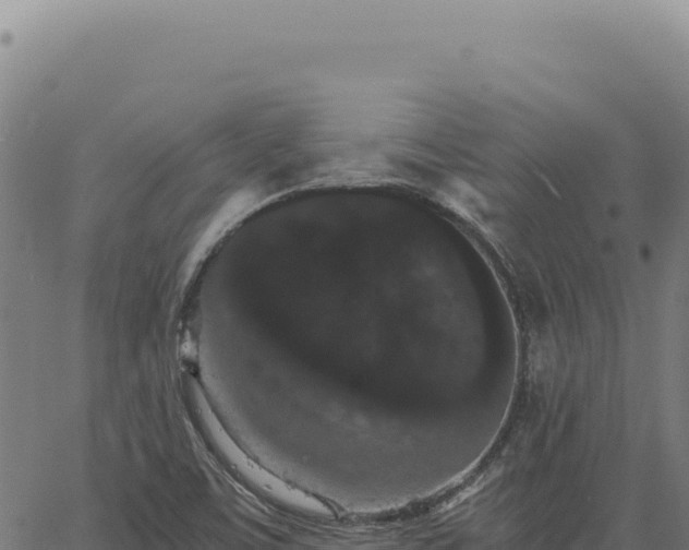 X0000063501459200601271733