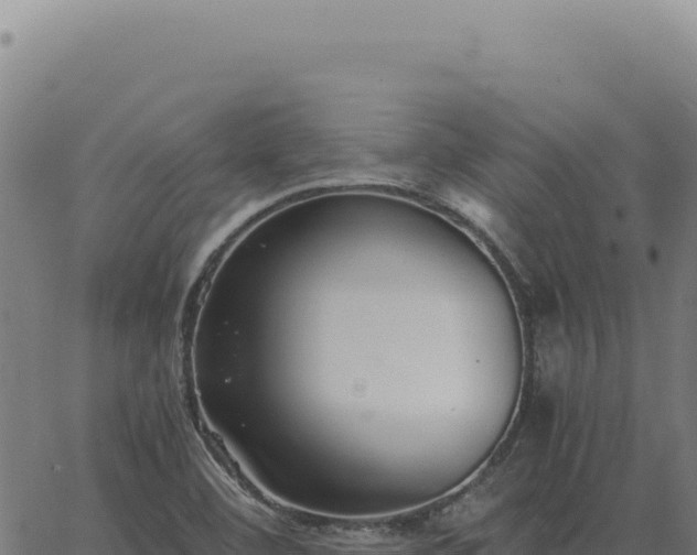 X0000063501460200601271733