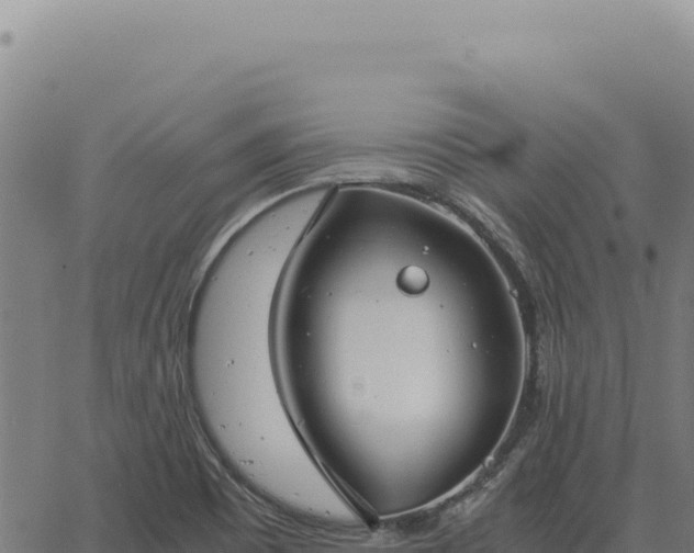 X0000063501465200601271733