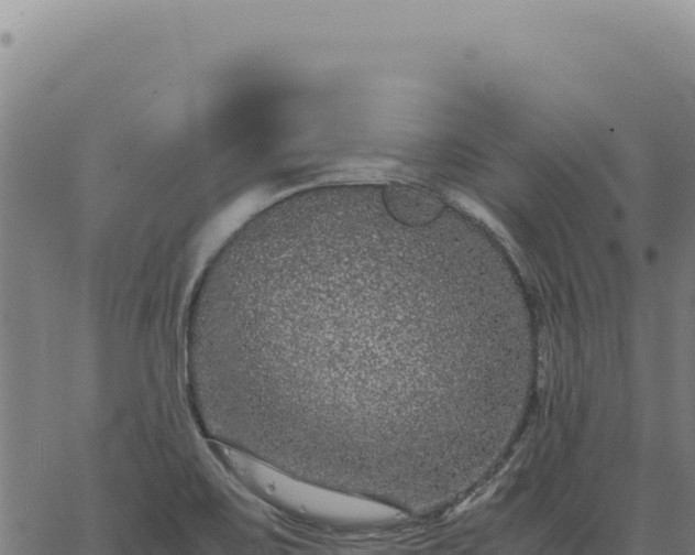 X0000063501467200601271733