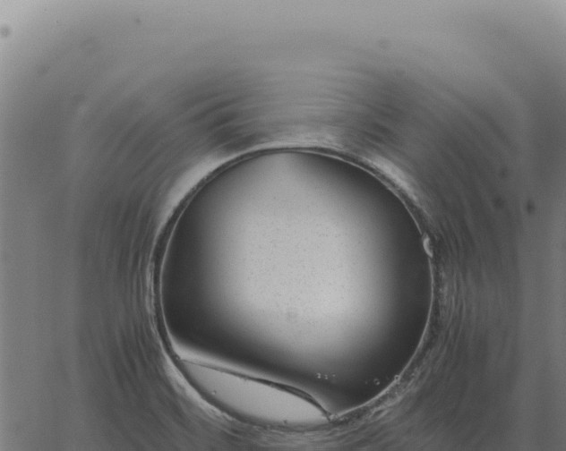 X0000063501468200601271733