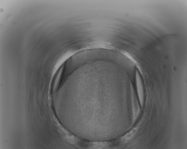 X0000063501469200601271733