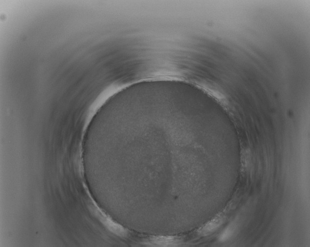 X0000063501470200601271733