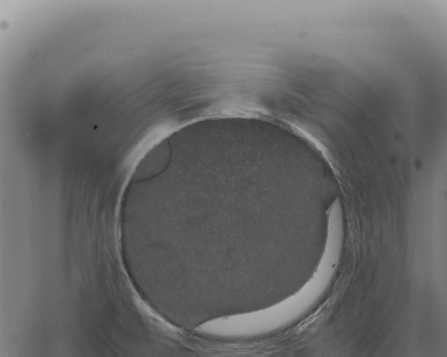 X0000063501471200601271733