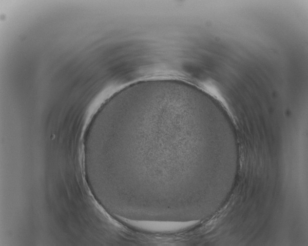 X0000063501472200601271733