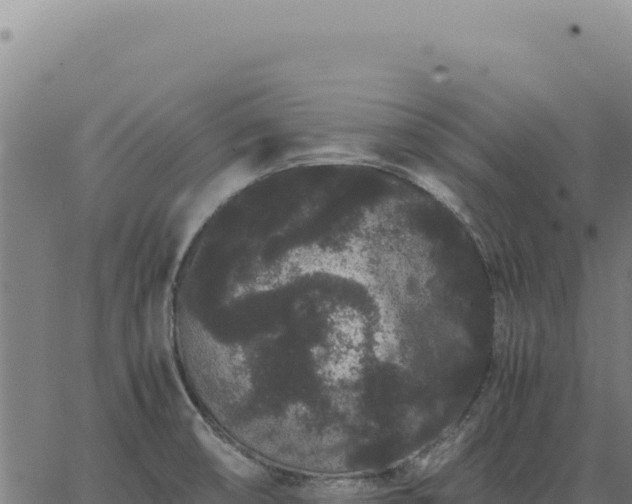 X0000063501474200601271733