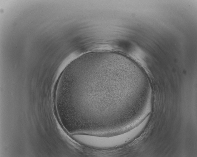 X0000063501475200601271733