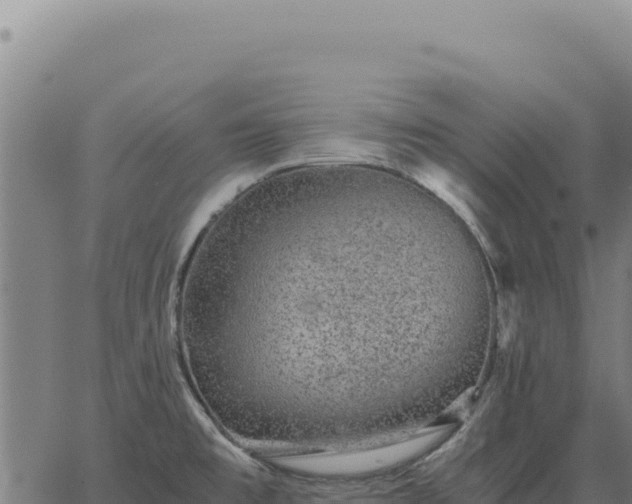 X0000063501477200601271733