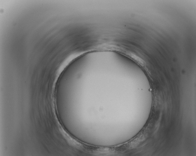 X0000063501478200601271732