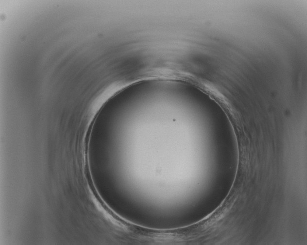 X0000063501479200601271732