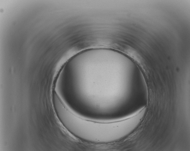 X0000063501480200601271732